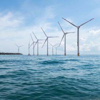 A wind farm off the coast