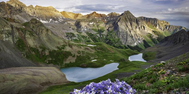 Columbine wildflowers in the foreground, upper Blue Lakes and the Sneffles Range in the background, Colorado
