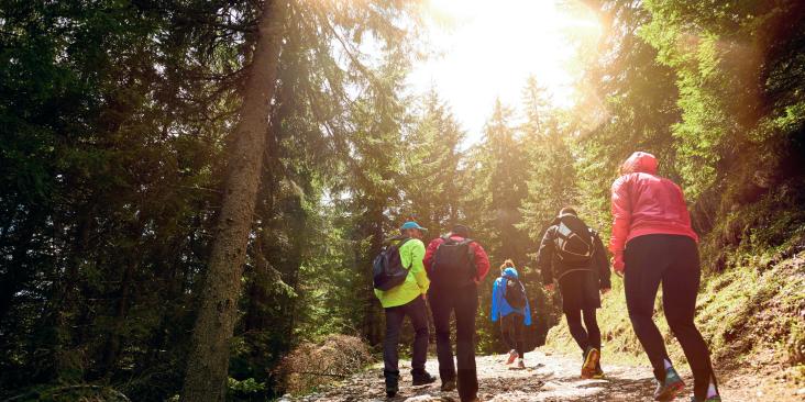 five people walking along path in forest with sun shining down through the trees