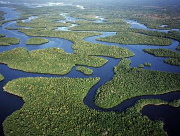Wetlands, viewed from overhead.